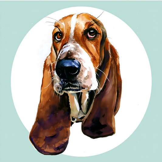 Dog Basset Hound | Diamond Painting