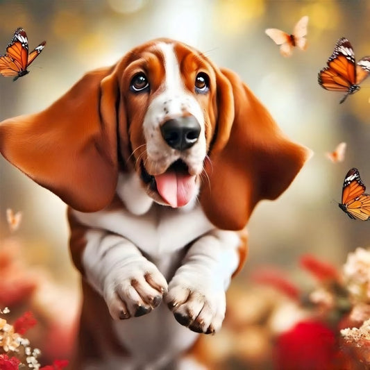 Dog Basset Hound | Diamond Painting