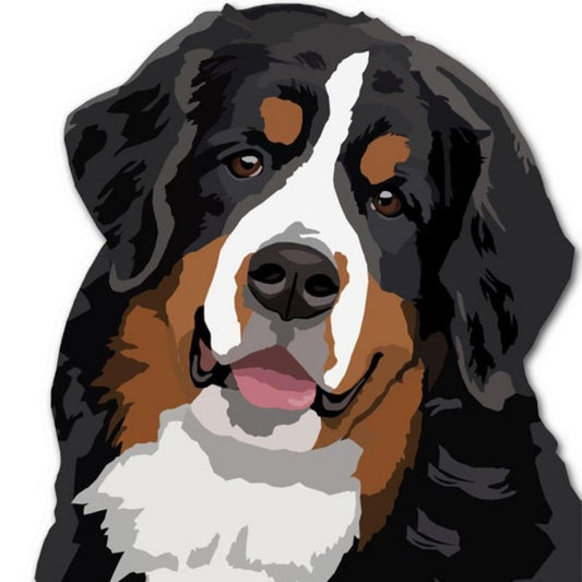 Bernese Mountain Dog | Diamond Painting