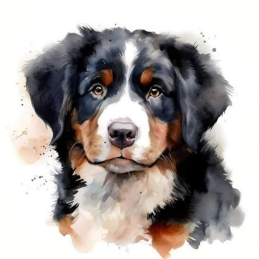 Bernese Mountain Dog | Diamond Painting