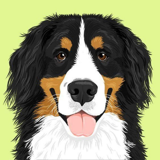 Bernese Mountain Dog | Diamond Painting