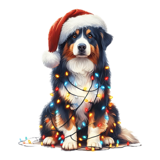 Bernese Mountain Dog | Diamond Painting