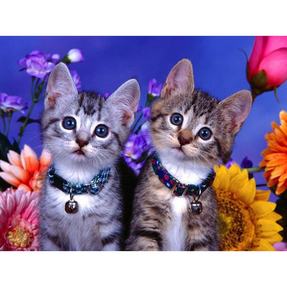 Bell Cat | Diamond Painting