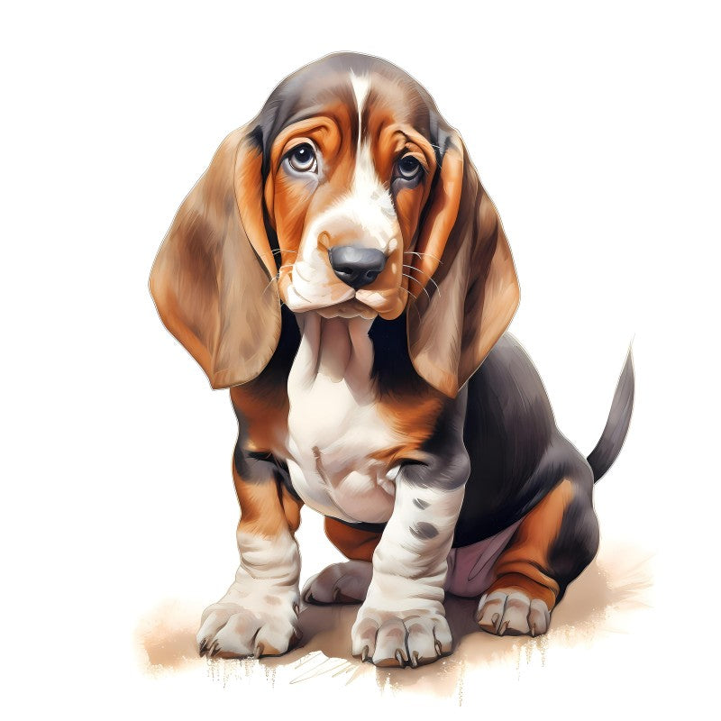 Dog Basset Hound | Diamond Painting