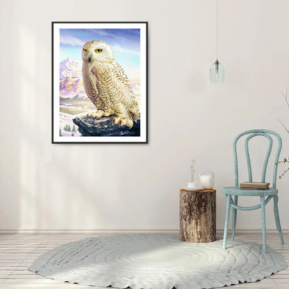 Owl | Diamond Painting