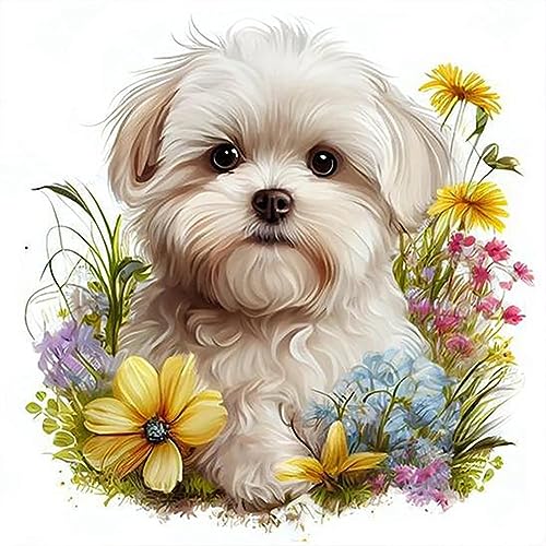 Dog Shih Tzu | Cross Stitch Embroidery
