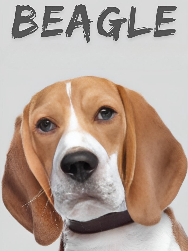 Dog Beagle | Diamond Painting