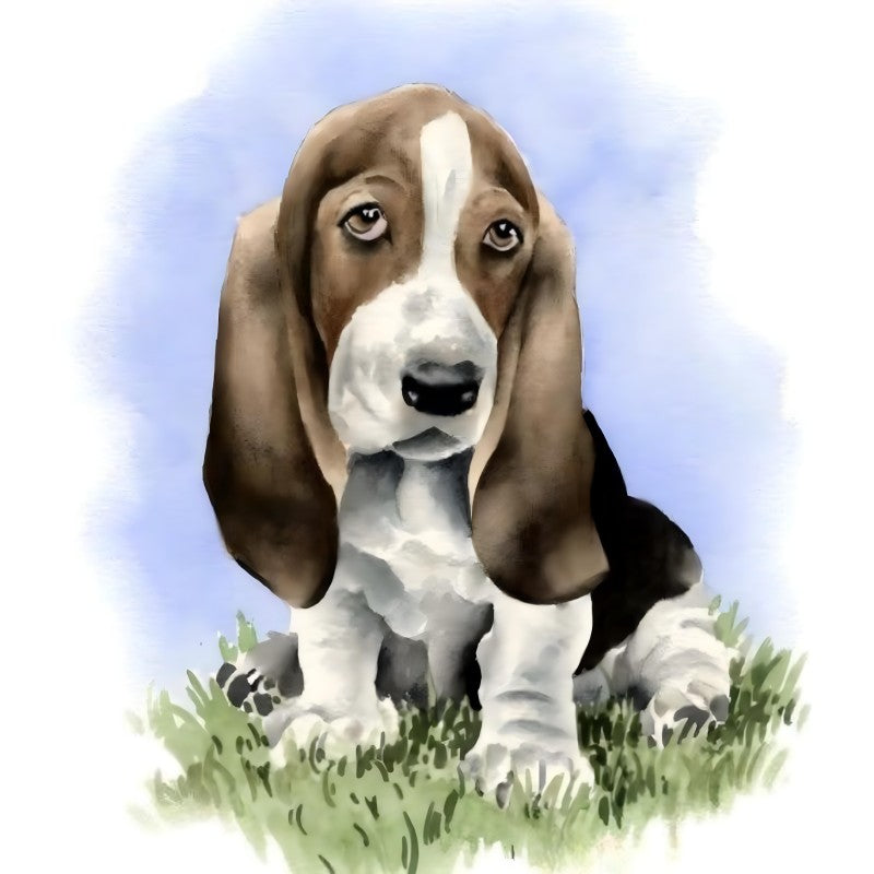 Dog Basset Hound | Diamond Painting