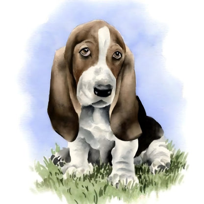 Dog Basset Hound | Diamond Painting