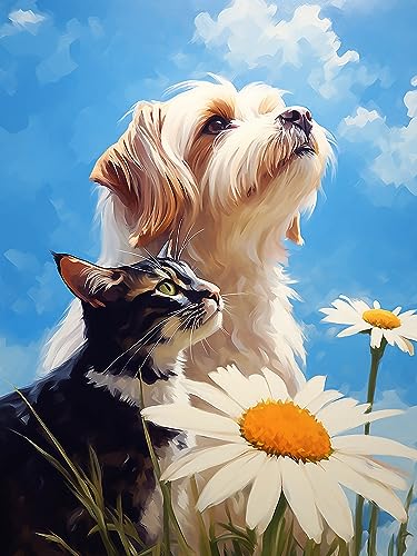 Dog Shih Tzu | Cross Stitch Embroidery