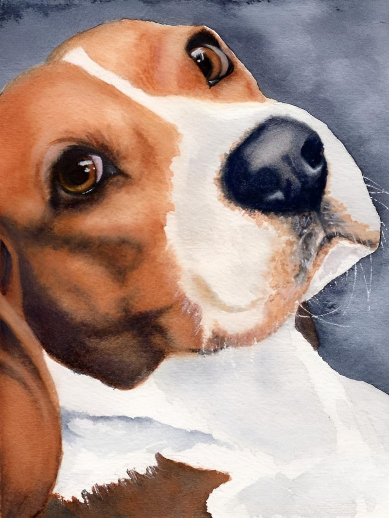 Dog Beagle | Diamond Painting