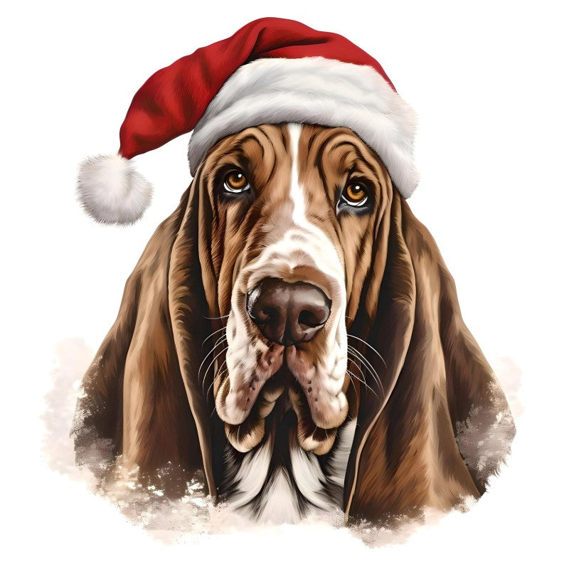 Dog Basset Hound | Diamond Painting