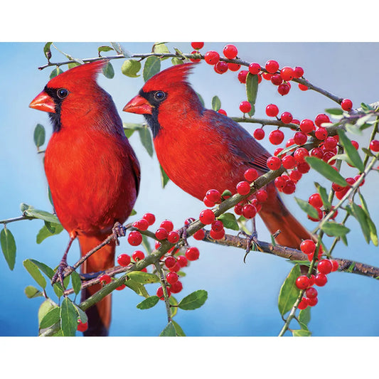 Cardinal Bird | Diamond Painting