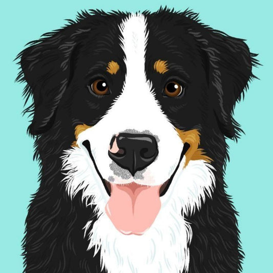 Bernese Mountain Dog | Diamond Painting