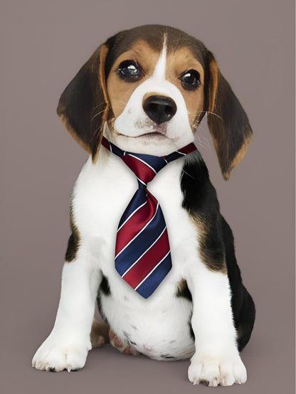 Dog Beagle | Diamond Painting