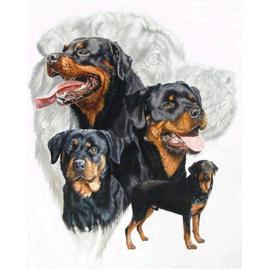 Black Dog Rottweiler | Cross Stitch Embroidery