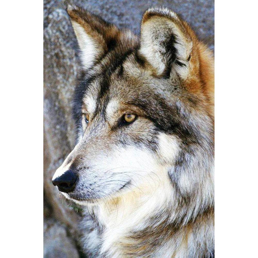 Wolf | Diamond Painting