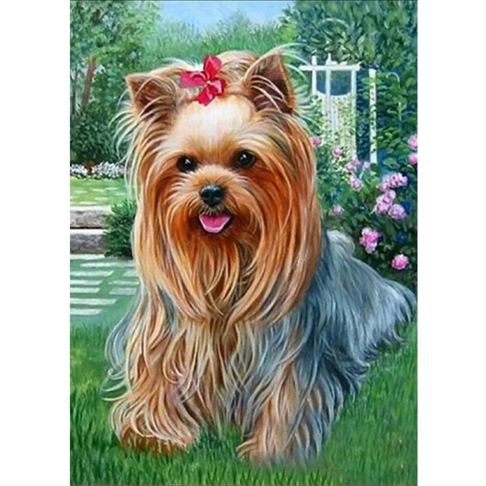 Cute Dog Yorkie | Diamond Painting