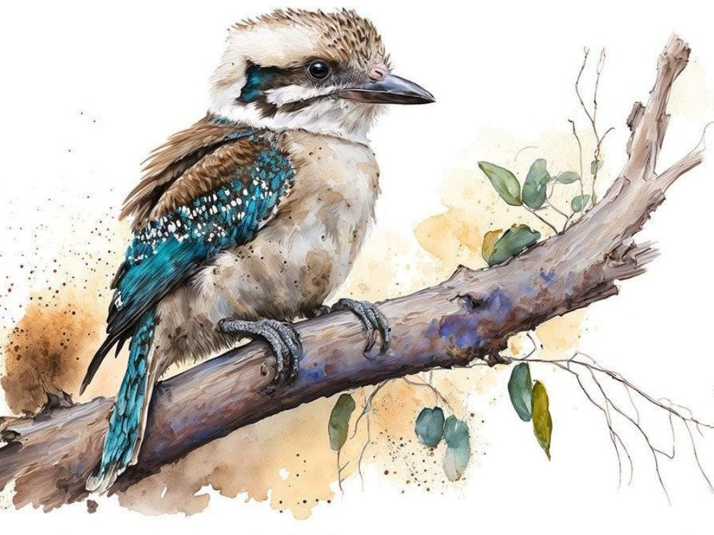 Kookaburra | Diamond Painting