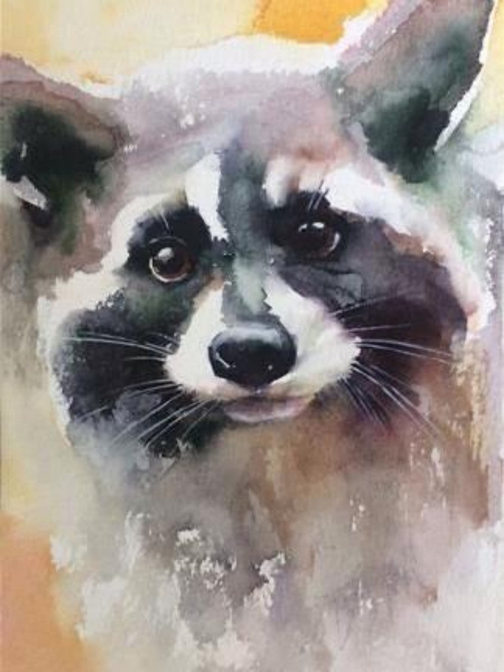 Raccoon | Diamond Painting