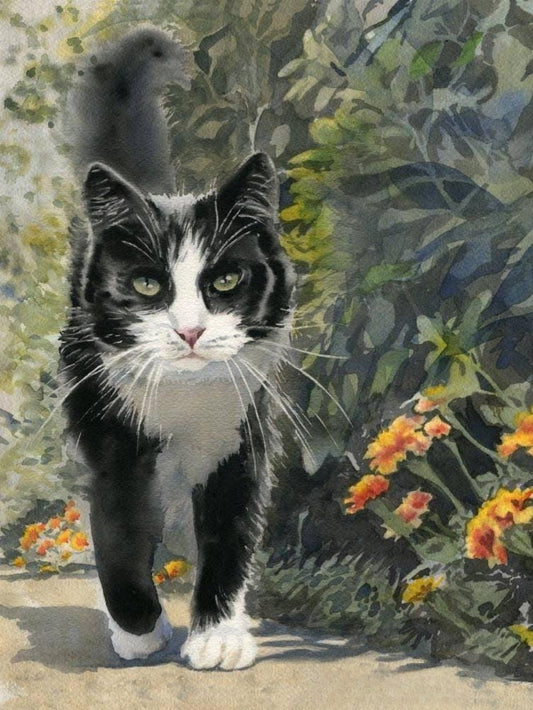 Tuxedo Cat  | Diamond Painting