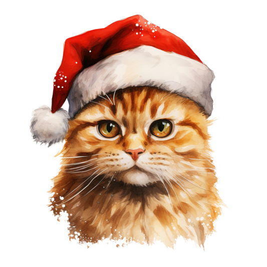 Christmas cat | Diamond Painting