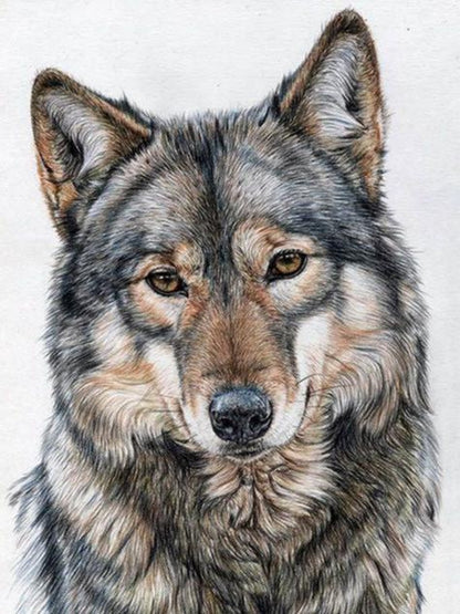 Wolf | Diamond Painting