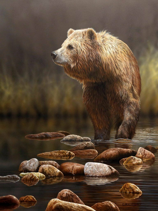 Brown Bear | Diamond Painting