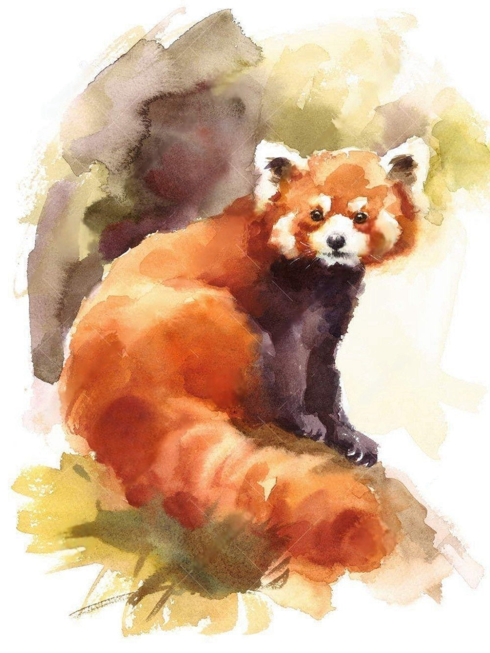 Red Panda | Diamond Painting