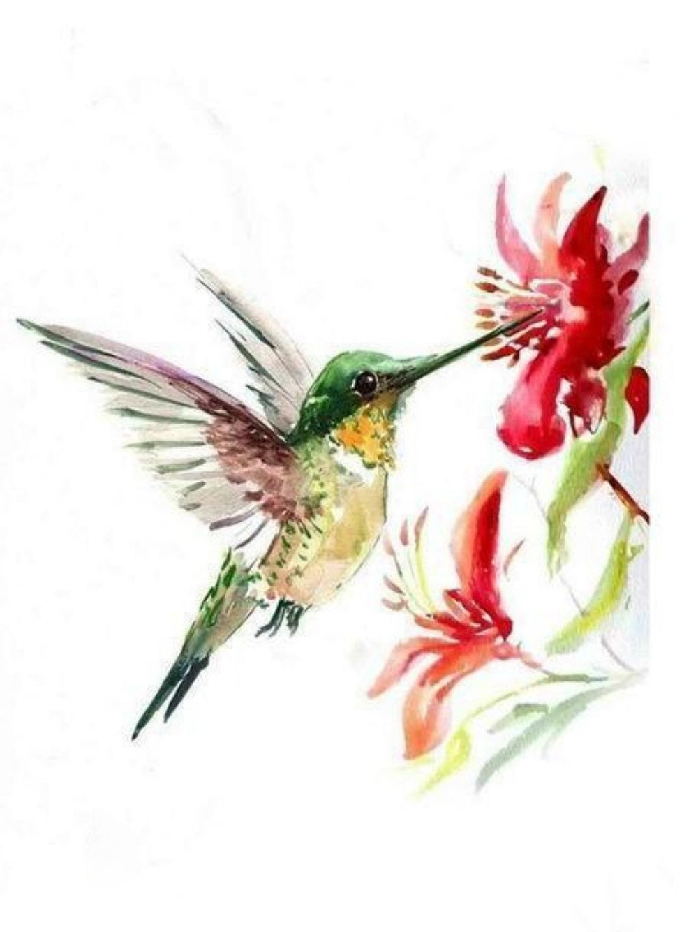 Hummingbird | Diamond Painting