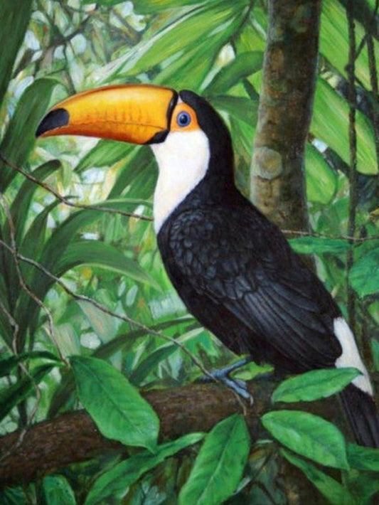 Toucan Bird | Diamond Painting