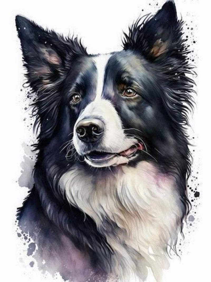 Dog Border Collie | Diamond Painting