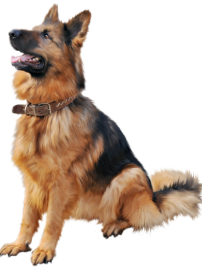 Dog German Shepherd | Diamond Painting