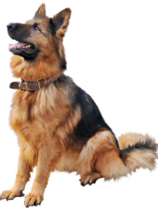 Dog German Shepherd | Diamond Painting