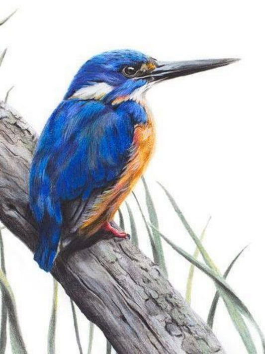 Kingfisher | Diamond Painting
