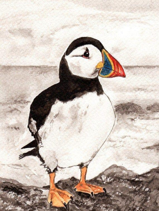 Puffin | Diamond Painting