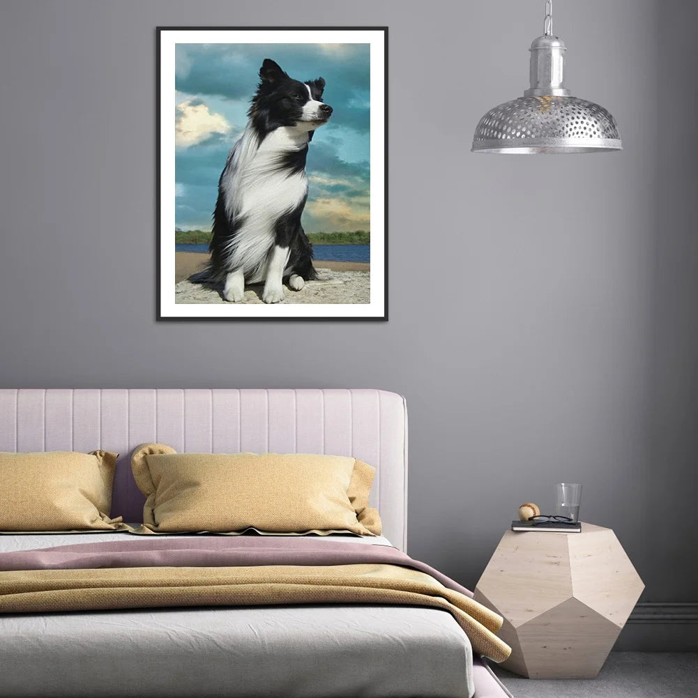 Dog Border Collie | Diamond Painting