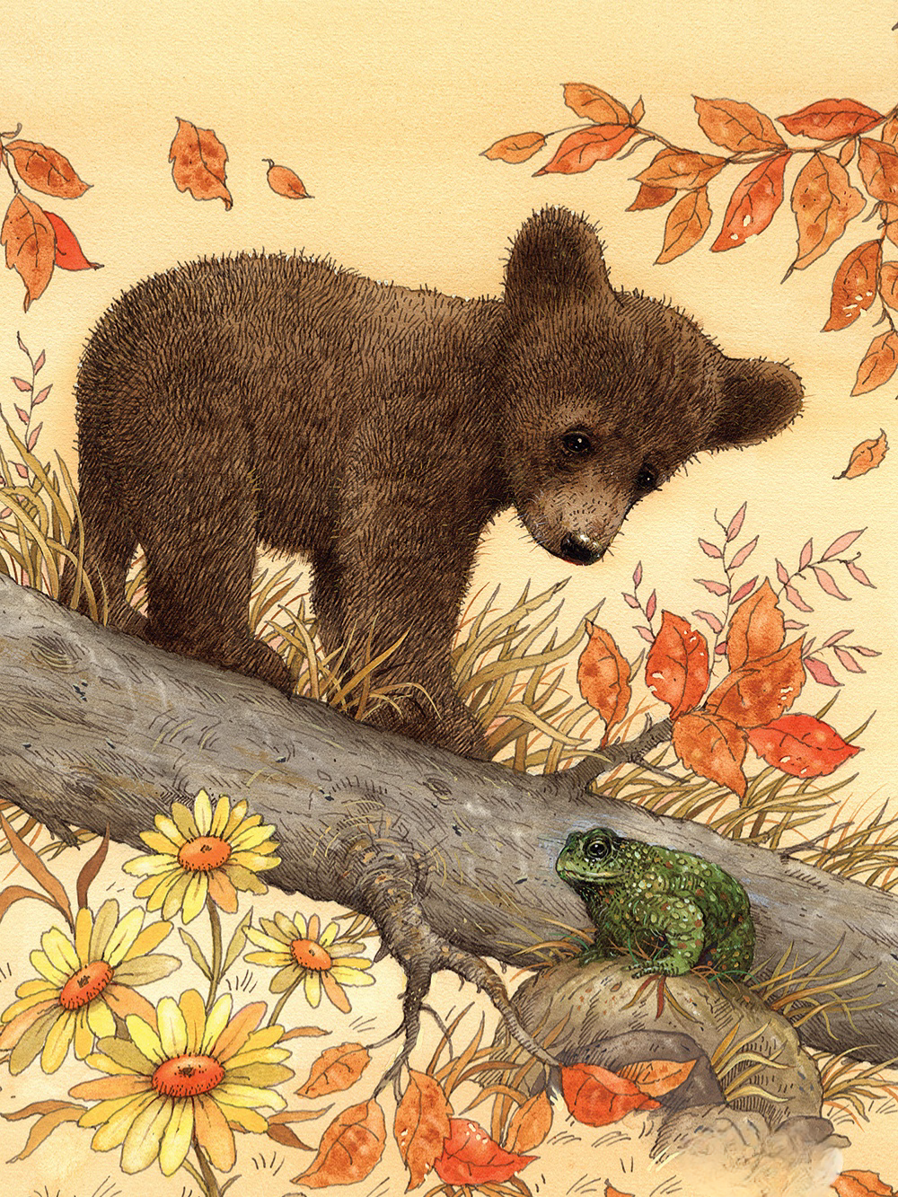 Brown Bear | Diamond Painting