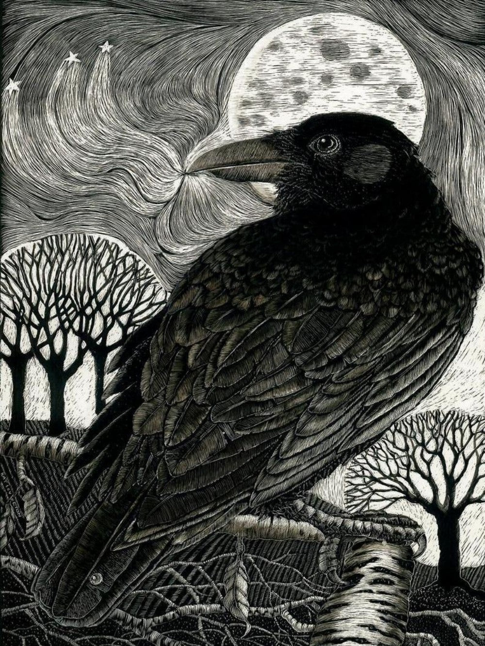 Crow | Diamond Painting