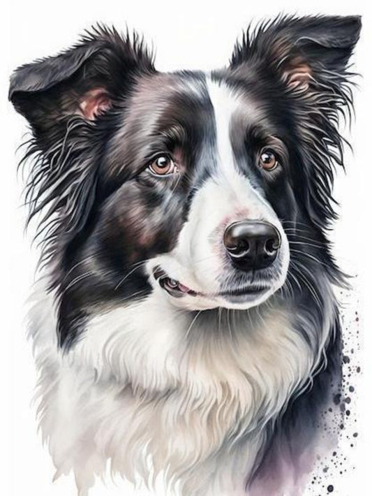 Dog Border Collie | Diamond Painting