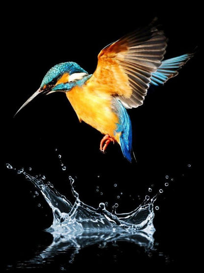 Kingfisher | Diamond Painting