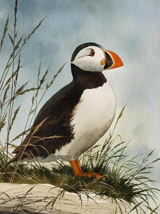 Puffin | Diamond Painting