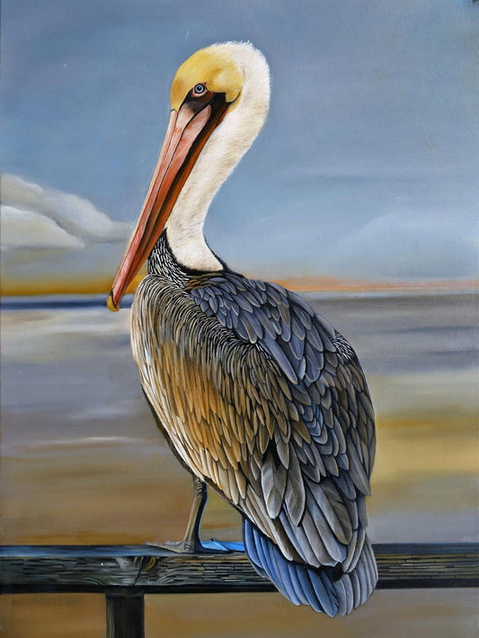 Pelican | Diamond Painting