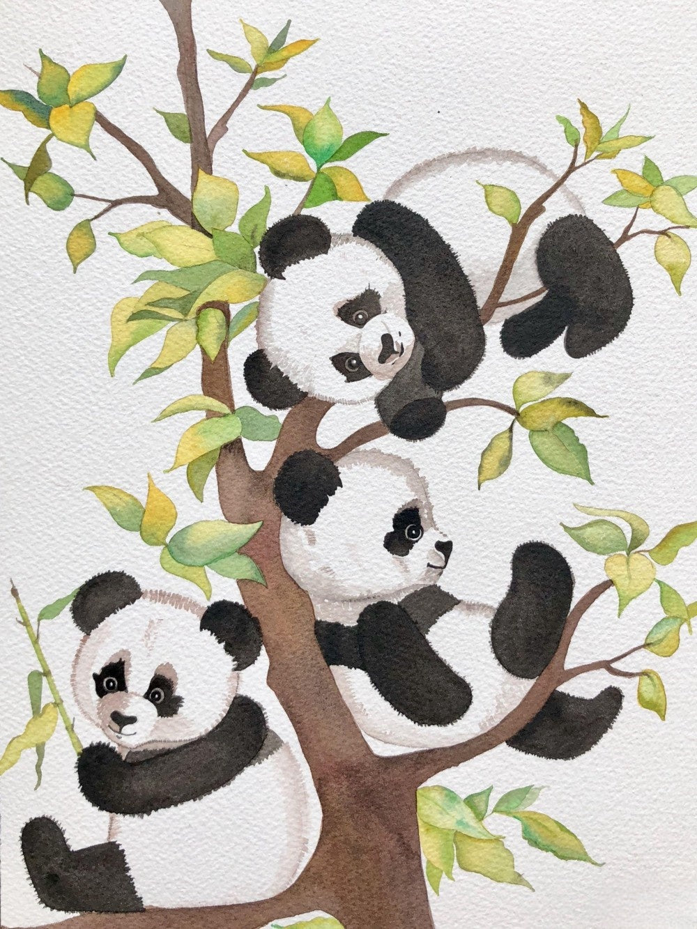 Panda | Diamond Painting