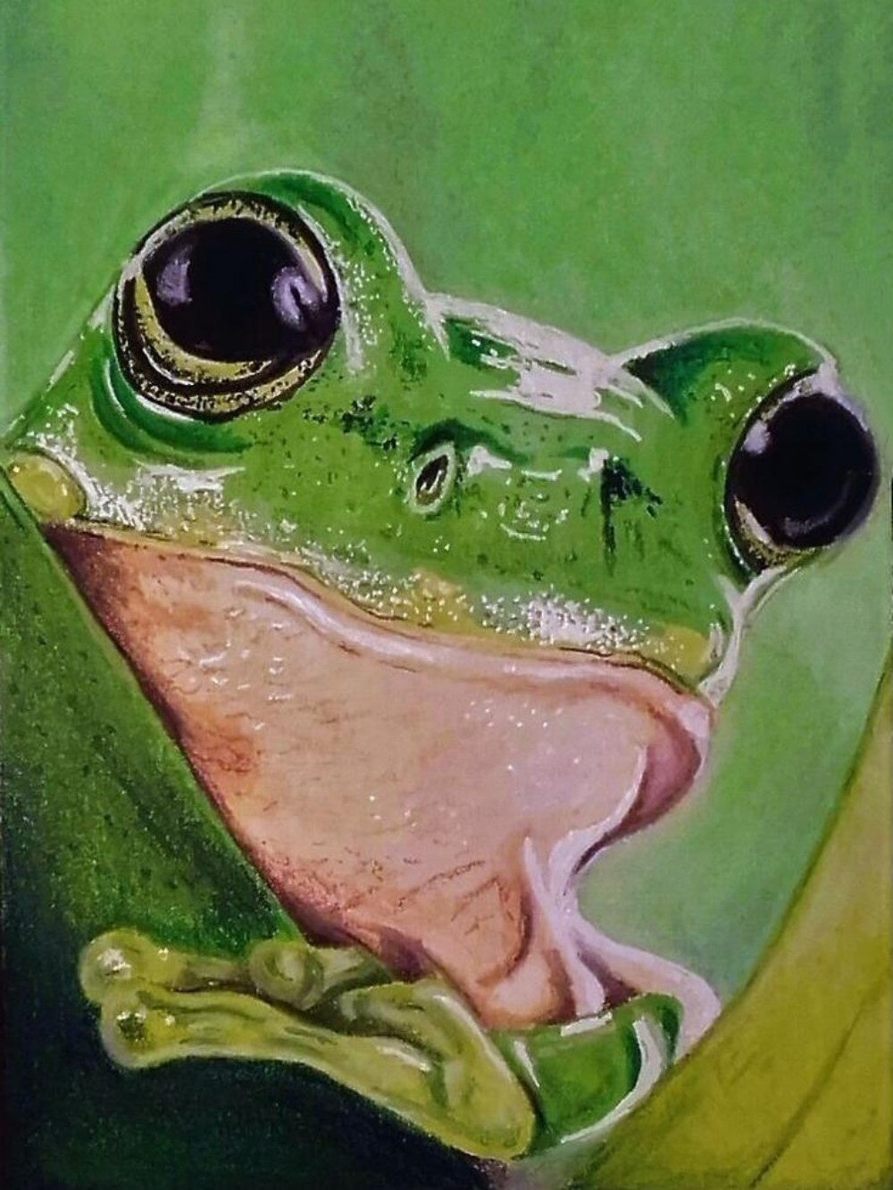 Frog | Diamond Painting
