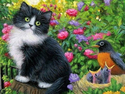 Tuxedo Cat  | Diamond Painting