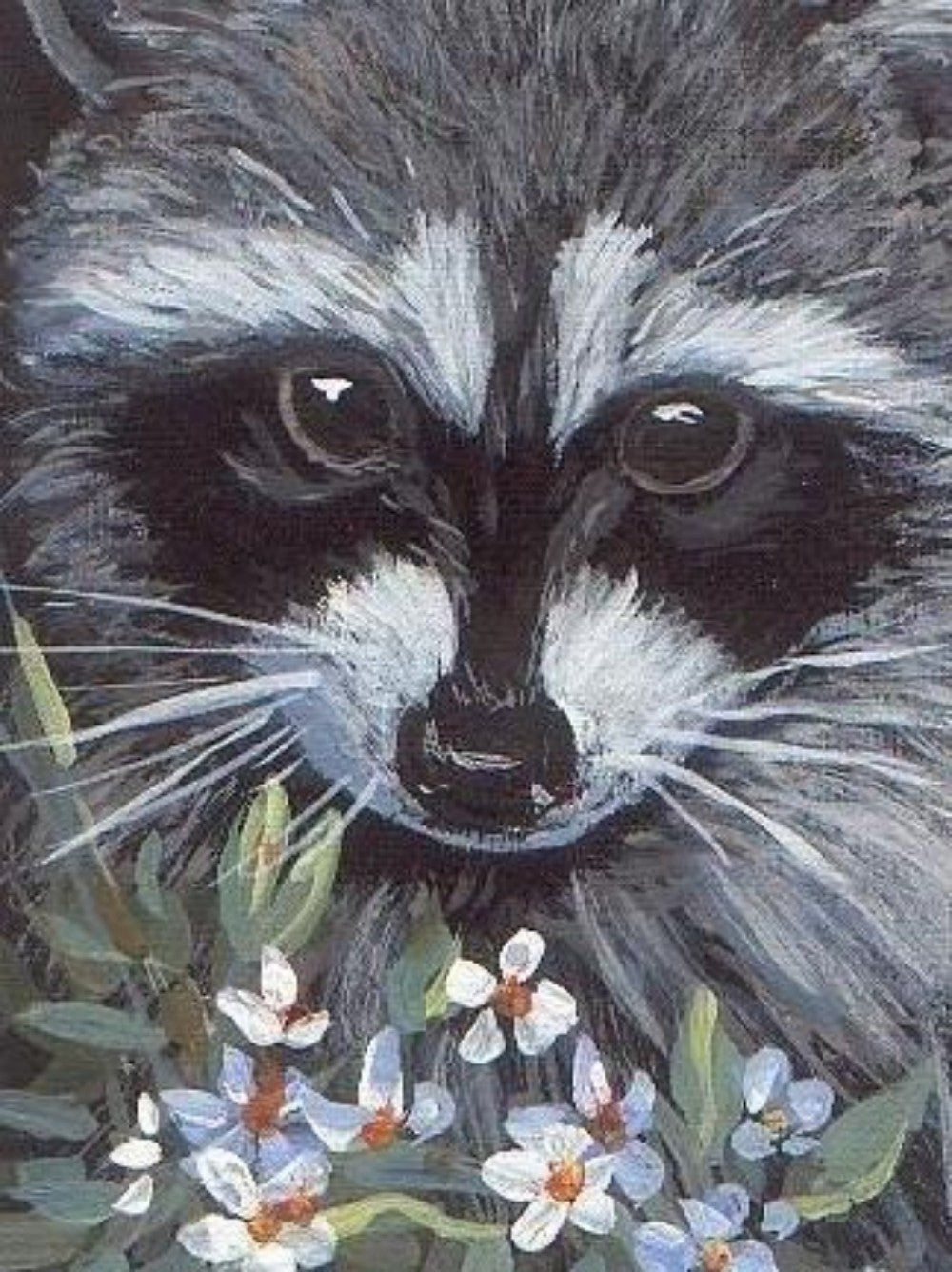 Raccoon | Diamond Painting