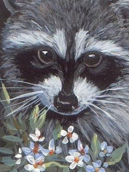 Raccoon | Diamond Painting