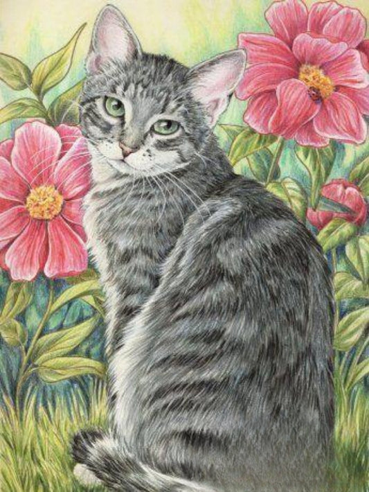 Tabby Cat | Diamond Painting