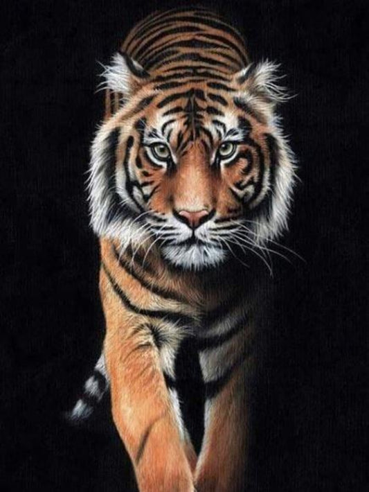 Bengal Tiger | Diamond Painting